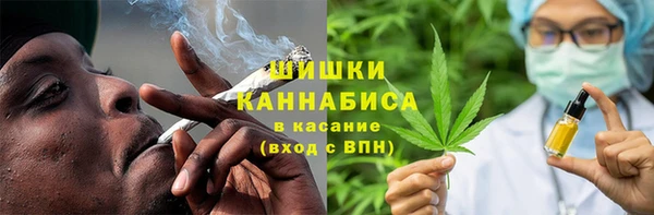 PSILOCYBIN Галич