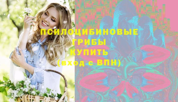 PSILOCYBIN Галич