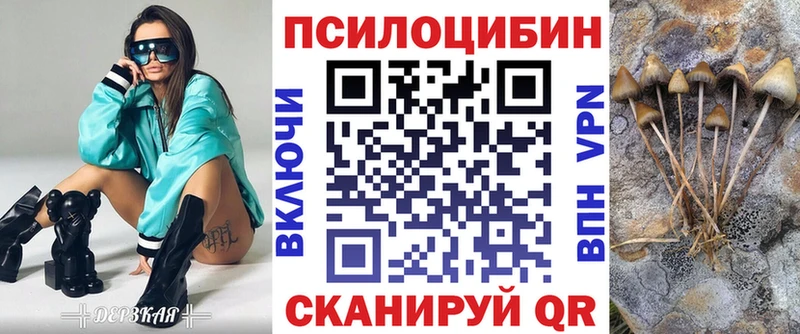 Псилоцибиновые грибы Cubensis  Инза 